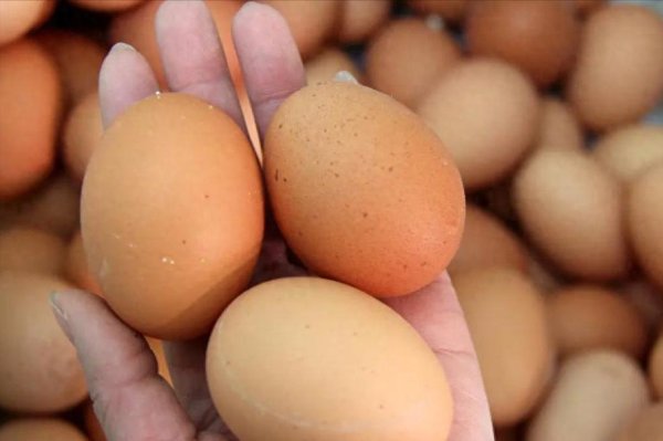 锦富优 调查：老人坚持早上吃鸡蛋半年，身体或有4个变化