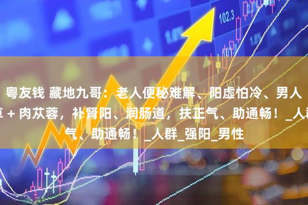 粤友钱 藏地九哥：老人便秘难解、阳虚怕冷、男人阳气弱？虫草 + 肉苁蓉，补肾阳、润肠道，扶正气、助通畅！_人群_强阳_男性